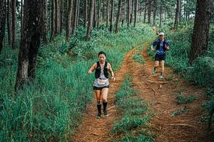 BIB: 
                            <button type="button" onclick="openModal(25701942)" class="btn btn-primary btn-sm float-right btn-popup" data-toggle="modal" data-target=".modal-high-quality">
                        <i class="fas fa-shopping-cart"></i> Add to Cart
                    </button>
                                            <button type="button" onclick="isThisMe(25701942, true)" class="btn btn-success btn-sm float-right btn-popup btn-isme hidden" data-toggle="tooltip" data-placement="bottom" title="นี่คือรูปของคุณใช่ไหม คลิกที่นี่เพื่อเอาเข้าอัลบั้ม">
                        <i class="fas fa-plus"></i> Add to album
                    </button>
                    <button type="button" onclick="isThisMe(25701942, false)" class="btn btn-warning btn-sm float-right btn-popup btn-isnotme hidden">
                        <i class="fas fa-ban"></i> Remove from album
                    </button>